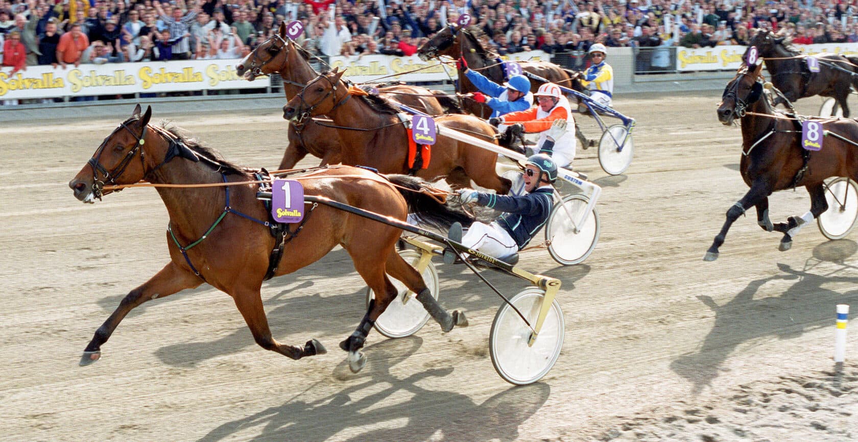 Travlopp på Solvalla